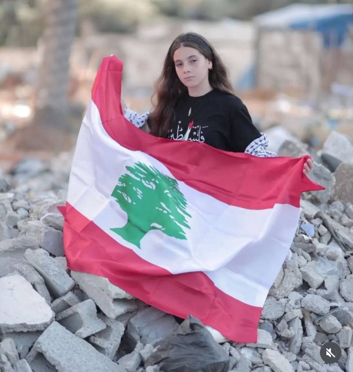 Lebanese Flag Among The Gaza Debris