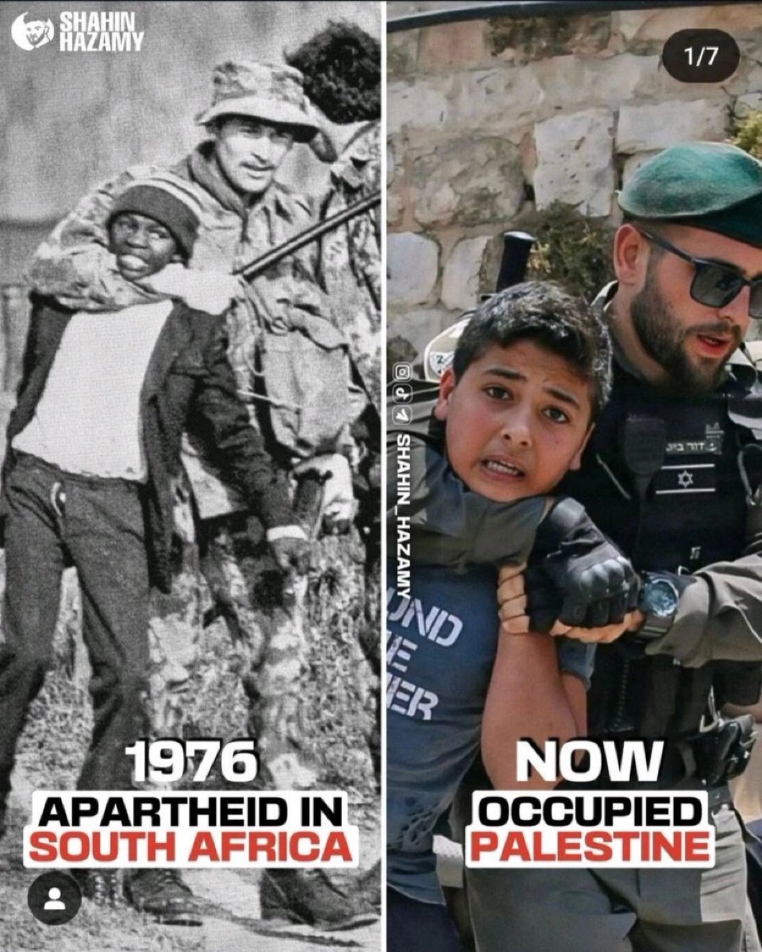 Apartheid Similarities