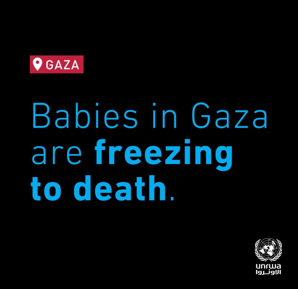 Six Babies Freeze to Death in Gaza