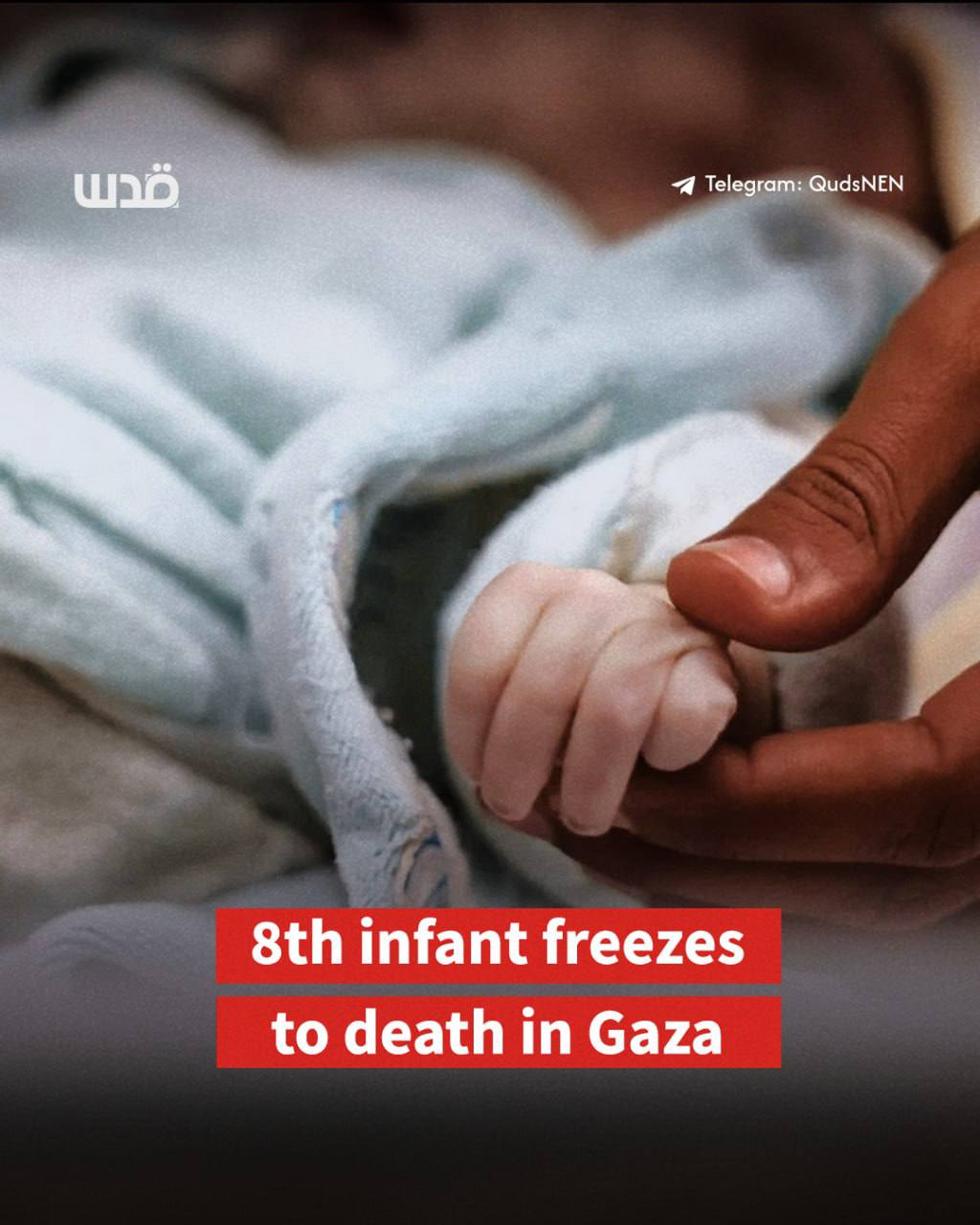 8th Infant Freezes to Death in Gaza