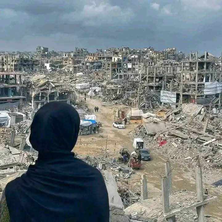 Gaza, No Comment