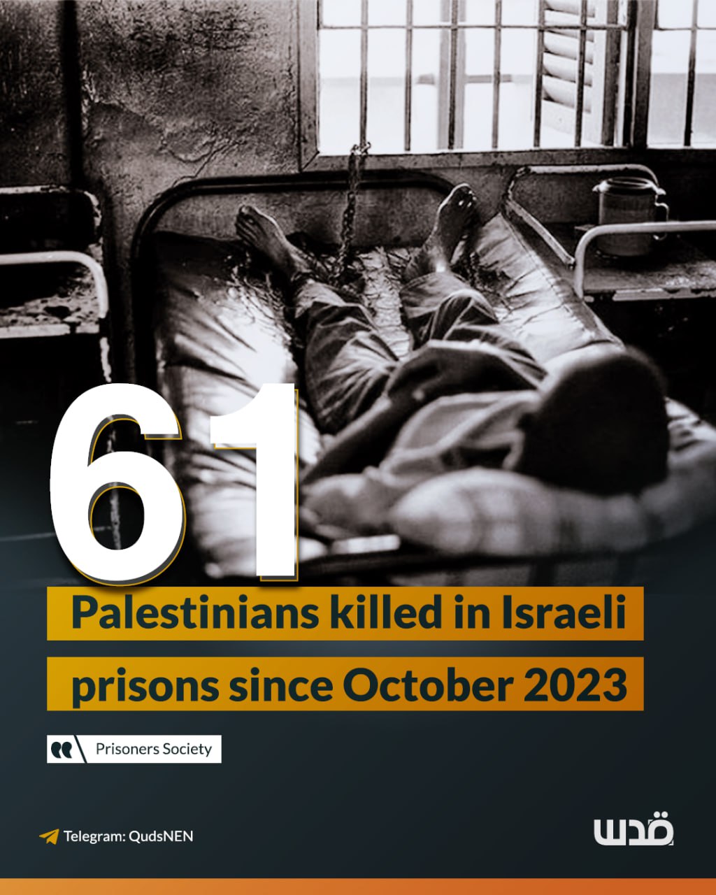 61 Palestinians Killed in Israeli Jails