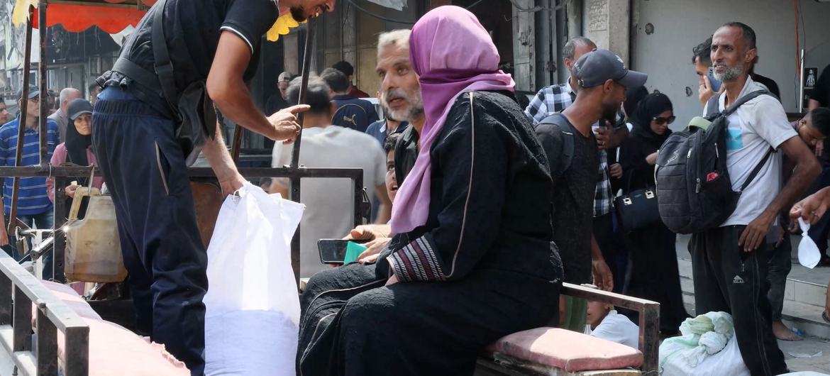 War-torn Gaza: Either Walking or The Cart!