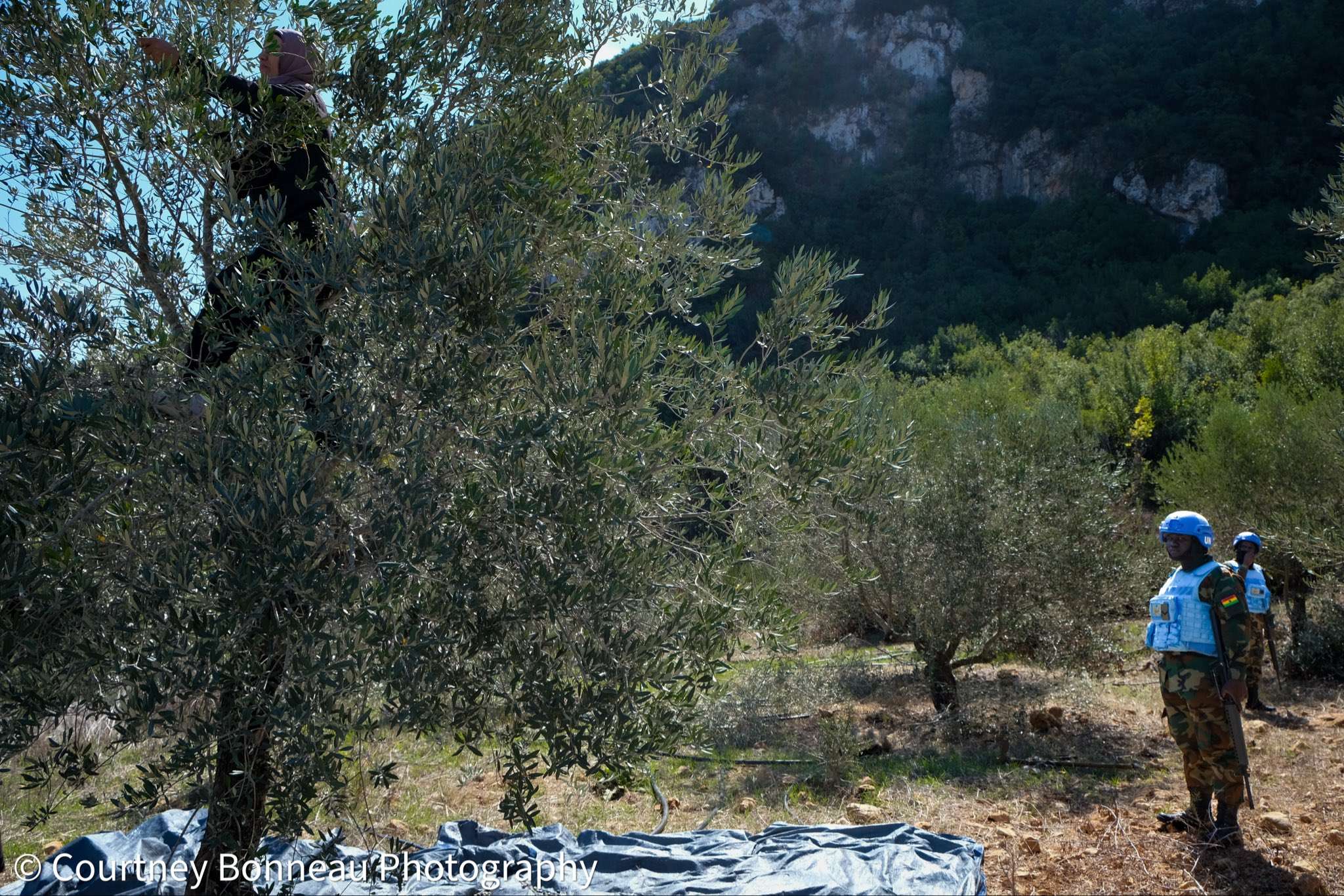 Israel Sprays South Lebanon With Poison