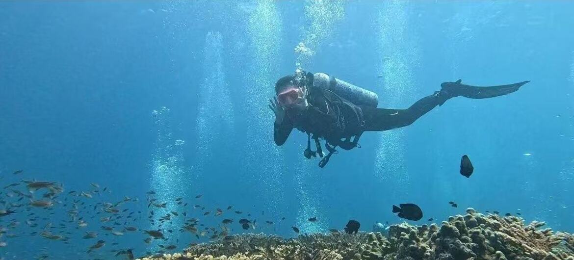 Diving in a War Zone