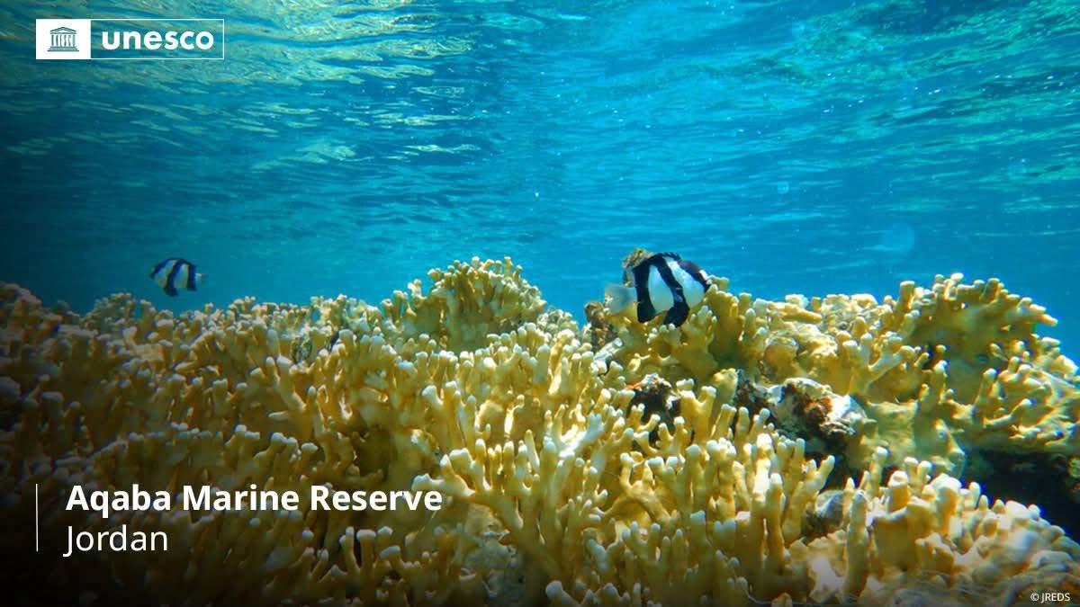 Aqaba Makes World Marine History