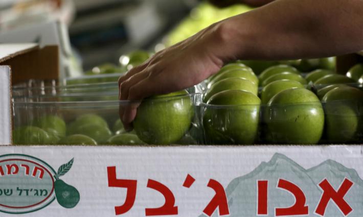 Netherlands Bans Products From Israeli Settlements