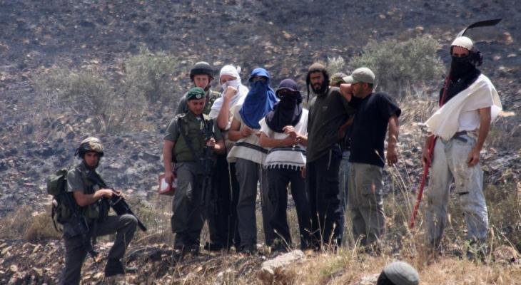 Israeli Settler Attacks Spiked by 63 percent in the Occupied West Bank