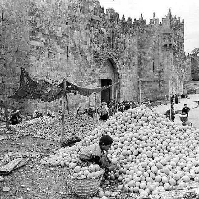 Jaffa Oranges in Jerusalem, 1937