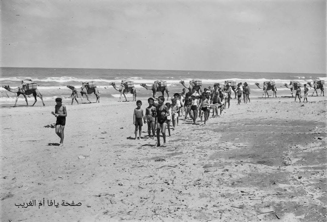 Jaffa: Our Grandparents in 1945