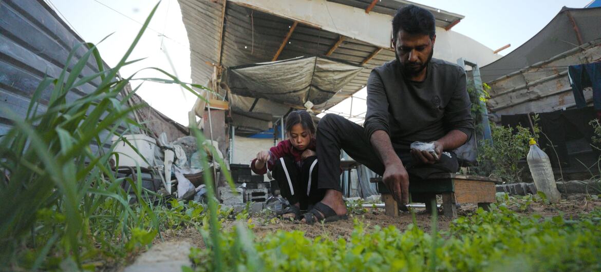 Gaza: Only 3% of Land Safe to Grow Food