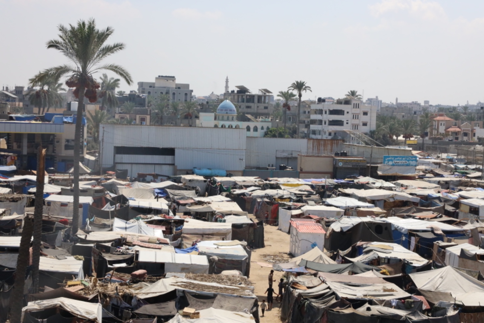 Gaza’s Widows: When Grief Becomes the Family’s Only Breadwinner